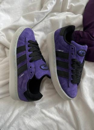 Круті кеди adidas campus  violet