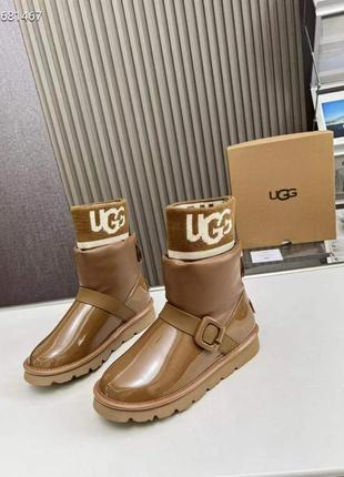 Трендовые ugg4 фото