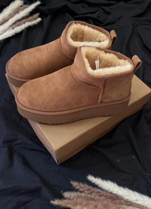 Ugg ultra mini platform2 фото