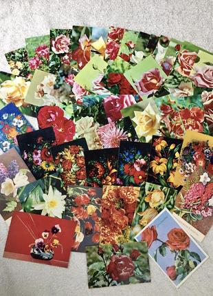 Винтажные открытки 1973 год, 45 штук, цветы