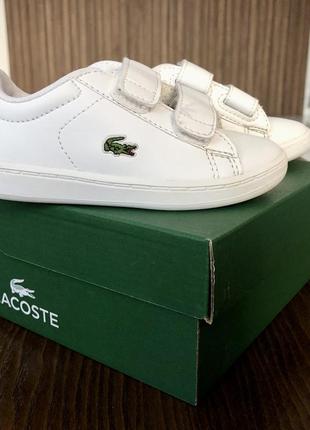 Кеди lacoste