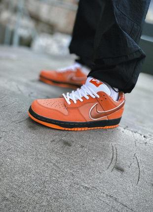 Nike sb dunk low orange lobster7 фото