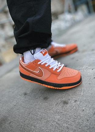 Nike sb dunk low orange lobster9 фото