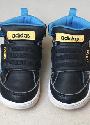 Черевики adidas (vietnam) оригінал 7