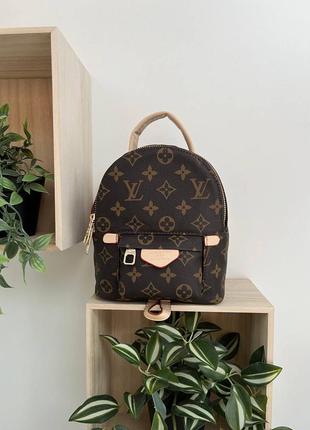 Жіноча сумка louis vuitton 👕 mini