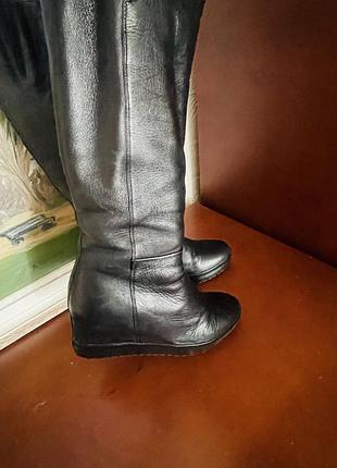 Сапоги baldinini