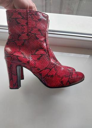 Красные эффектные ботинки со змеиным принтом размер 39