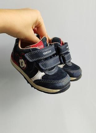 Кроссовки ботинки хайтопы детские geox
