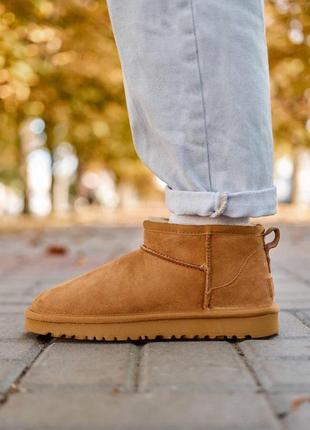 Женские базовые теплые коричневые угги водоотталкивающие 2023 ugg classic ultra mini chestnut2 фото