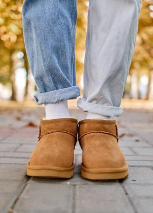 Женские базовые теплые коричневые угги водоотталкивающие 2023 ugg classic ultra mini chestnut3 фото