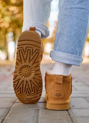 Женские базовые теплые коричневые угги водоотталкивающие 2023 ugg classic ultra mini chestnut6 фото