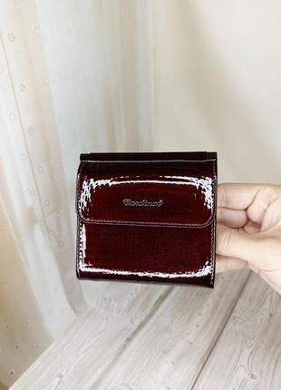 Шкіряний жіночий гаманець cardinal