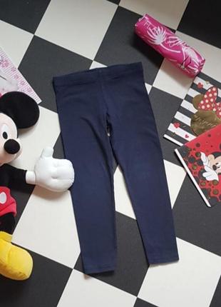 Лосины, лосины