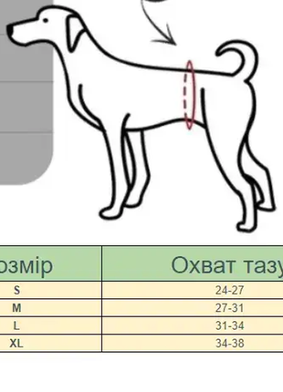 Трусы гигиенические для течки у собак на подтяжках розовые s10 фото