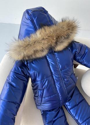 Костюм зимняя куртка и брюки полукомбинезона до -30 цвет электрик ткань водоотталкивающий мех енота5 фото