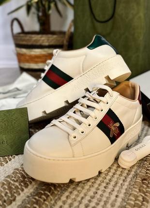 Кеди (крос) gucci оригінал