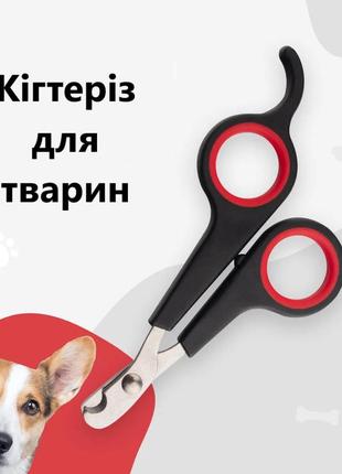 Когтерез для кошек собак