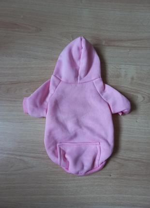 Худі одяг для маленької собачки