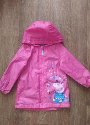 Вітровка дощовик