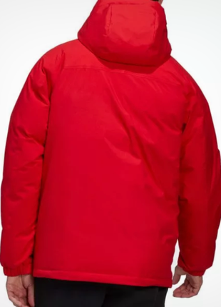 Чоловіча пухова куртка adidas з капюшоном terrex mountain down gk06682 фото