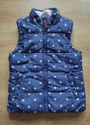 Желетка дута.