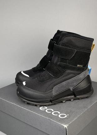 ecco biom 27