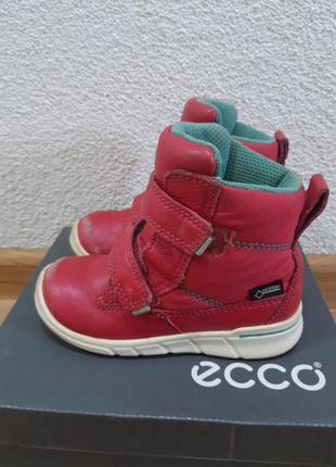 Осенние ботиночки ecco 24р.3 фото