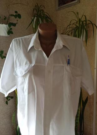 Базовая женская рубашка, р.46-50.