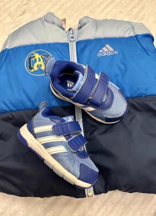 Кроссовки кеды adidas1 фото