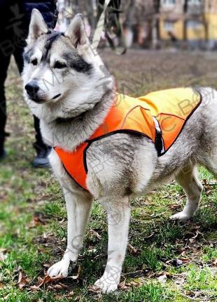 Попона жилет,накидка для собак