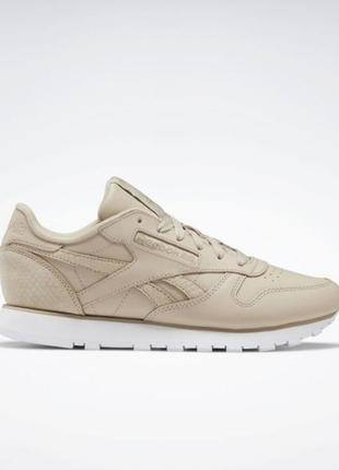 Кросівки reebok classic leather ef3256