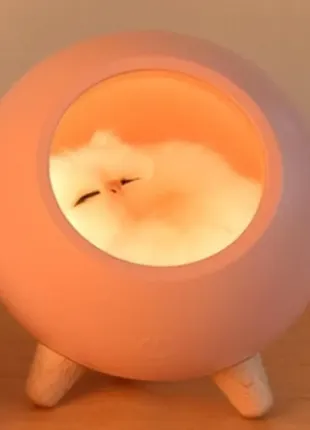 Оригинальный светильник led ночник спящий кот в домике + подарок3 фото