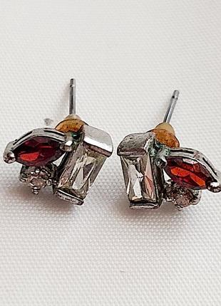 Сережки гвоздики