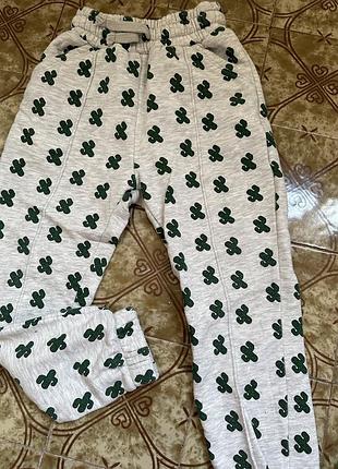 Штаны спортивные