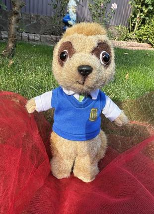 Сурикат bogdan богдан сурикат meerkovo