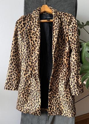Пиджак пальто у леопардовый принт бренда mango7 фото
