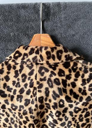 Пиджак пальто у леопардовый принт бренда mango5 фото