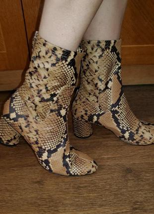 Ботинки zara змеиный принт1 фото