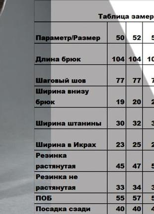 Чоловічі спортивні штани з плащової тканини з сітчастою підкладкою (1015)2 фото