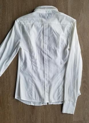 Стильная блуза белая рубашка с бантами бабочками5 фото