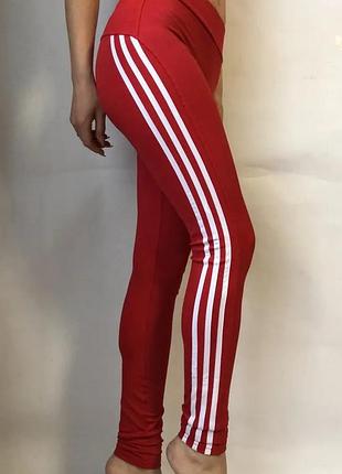 Жіночі червоні спортивні лосини