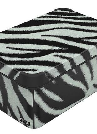 Коробка qutu style box з/кр. zebra 5л. (style box з/кр. zebra 5л.)  tzp146