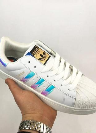 Кросівки adidas superstar