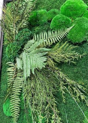 Панно мох + растения