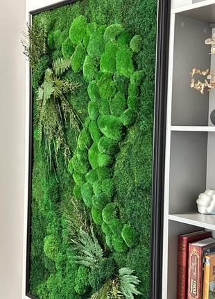 Панно мох + растения