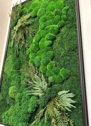 Панно мох + растения