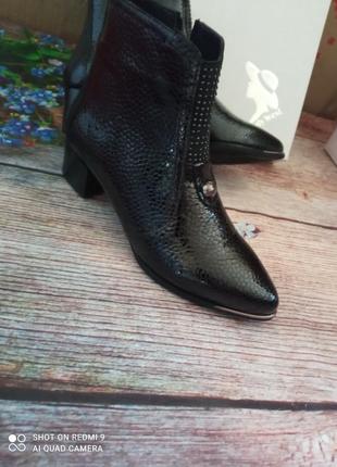 Жіночі демісезонні лаковані шкіряні черевики із зміїним принтом туреччина. ботинки3 фото