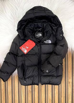 Курточка the north face