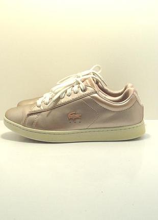 Жіночі пудрові кеди lacoste р.36