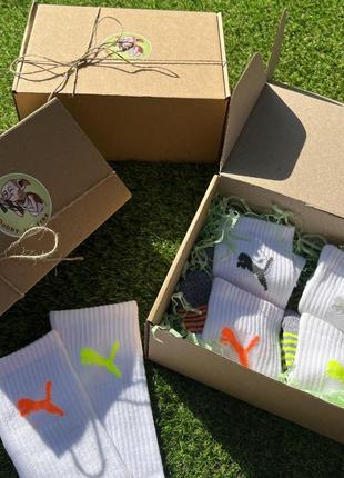 Подарочный набор носков puma2 фото